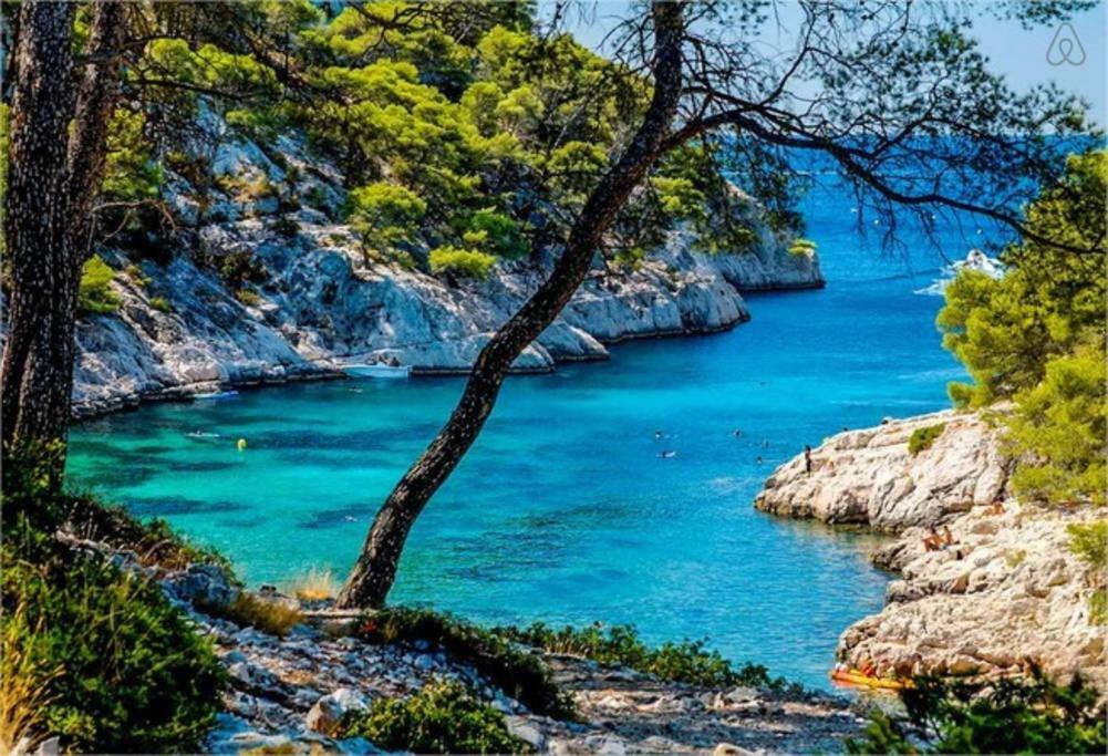 Appartamento Les Palmiers Saint-Cyr-sur-Mer Esterno foto