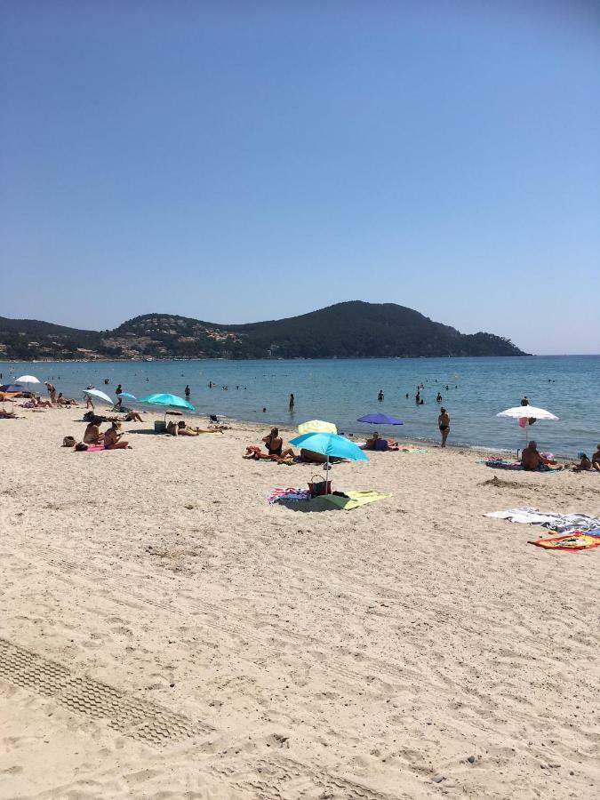 Appartamento Les Palmiers Saint-Cyr-sur-Mer Esterno foto